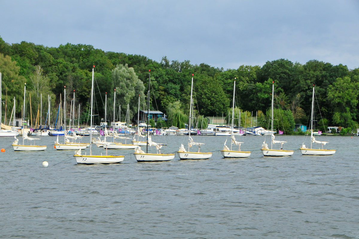 12. Immo-Sailingcup 2026
